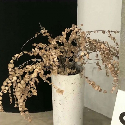 Furry绘画色彩技巧兽圈社群